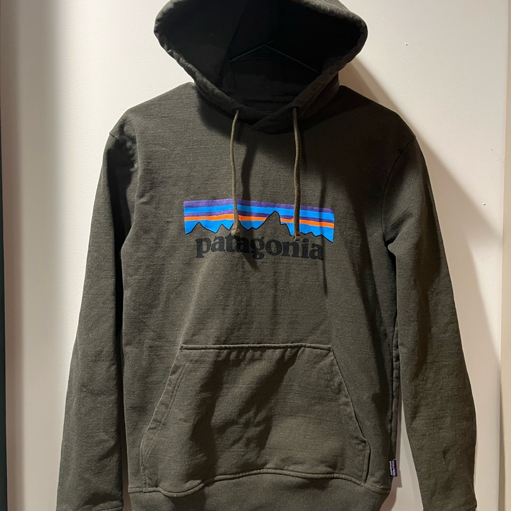 Patagonia Men's Olive Hoodie with Logo